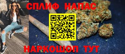 стаф Будённовск
