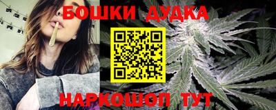 стаф Будённовск