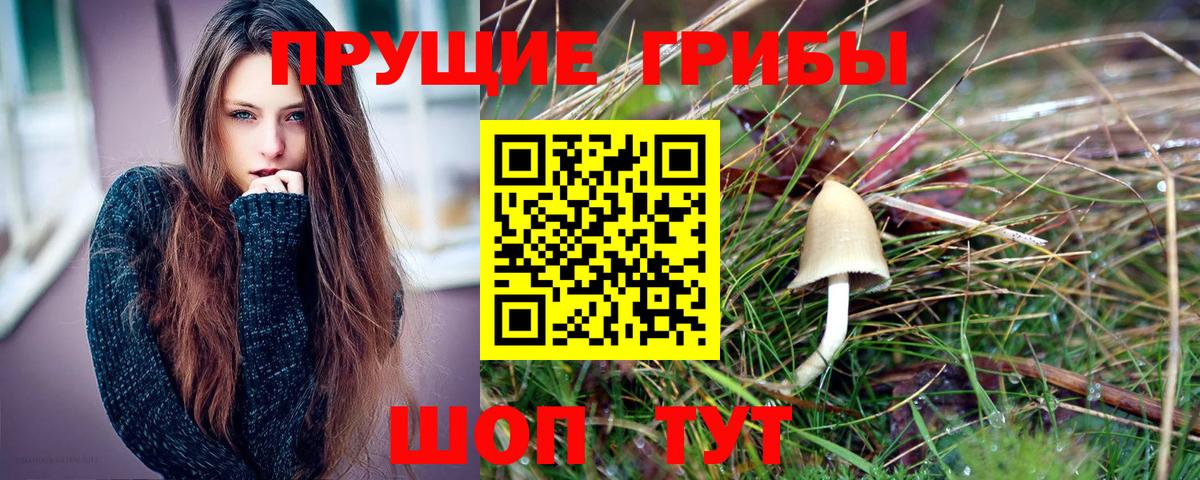Псилоцибиновые грибы MAGIC MUSHROOMS Кыштым
